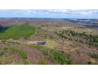 Property photo 30 - LAND AUCTION - 2,596+/- ACRES IN 28 TRACTS IN COSHOCTON & MUSKINGUM COUNTIES, OHIO